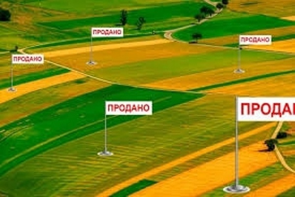 В Одесской области фермеры массово продают землю
