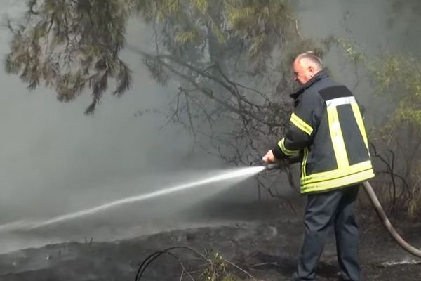 Украину предупредили о пожарной опасности: какие регионы в зоне риска