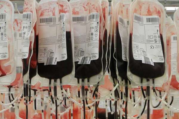 Медики выяснили, какие болезни грозят обладателям разных групп крови