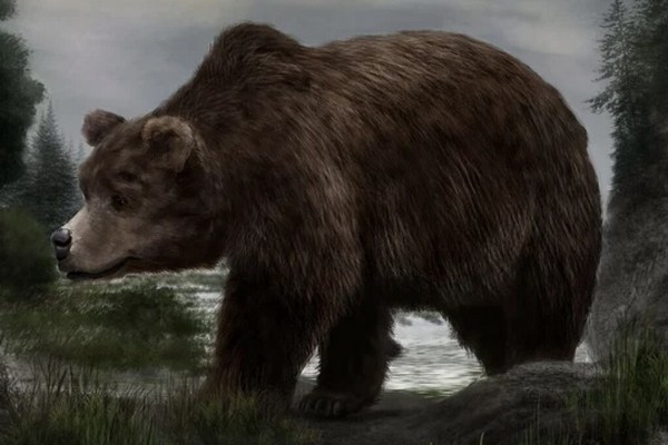 В Сибири ученые обнаружили сохранившуюся тушу древнего пещерного медведя (ФОТО)