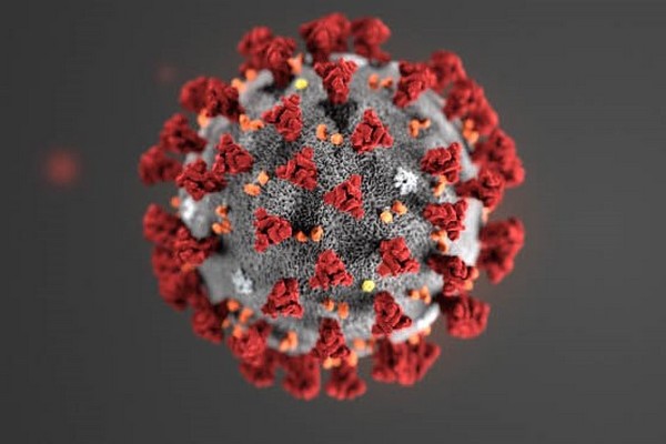 Зараженных коронавирусом в 20 раз больше, чем говорит официальная статистика