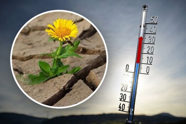 Лето будет дольше на месяц, а зима очень теплой: в Украине стремительно меняется климат