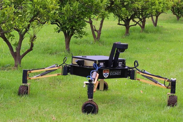 Материнская компания Google разработала уникальных роботов для фермеров