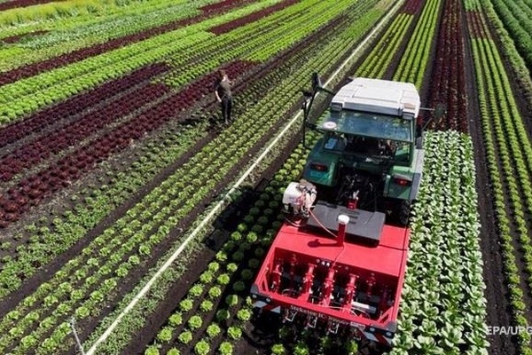Украина не полностью использует свой аграрный потенциал