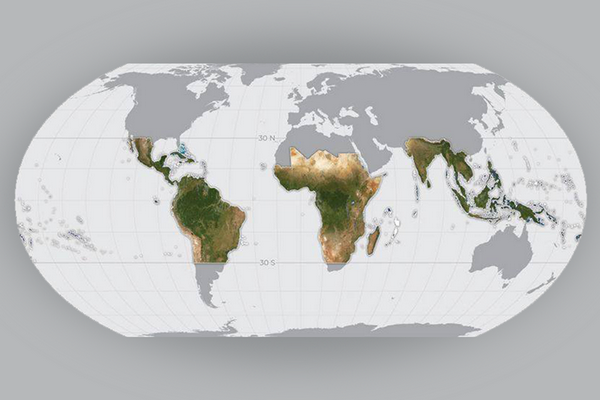 Норвежцы создали глобальную спутниковую карту тропических лесов