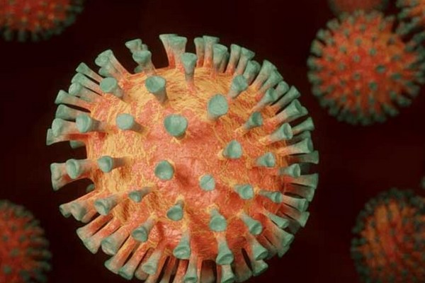 Легкая простуда может защитить человека от коронавирусной инфекции – врач