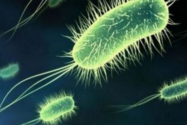 Эксперты рассказали, почему важно знать об устойчивости к антибиотикам