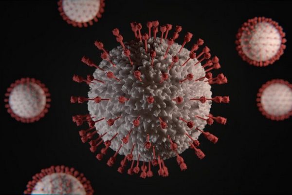 Медики заявили о первой мутации коронавируса против которой бессильны антитела