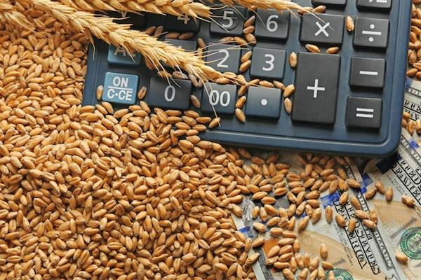 Эксперты рассказали о ценовой тенденции рынка фуражного зерна
