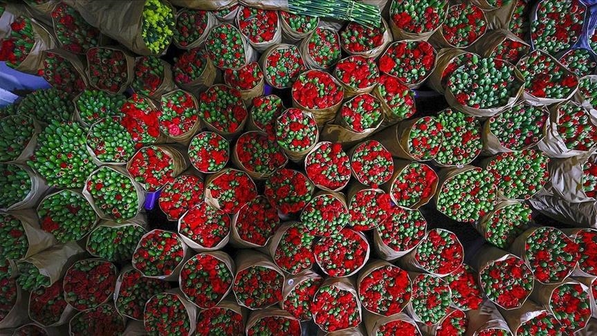 В 2020 году Турция экспортировала цветы в 83 страны