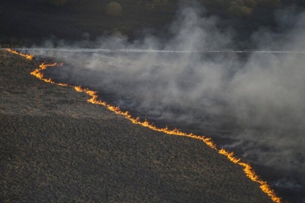 Рада законодательно запретила выжигание сухой травы