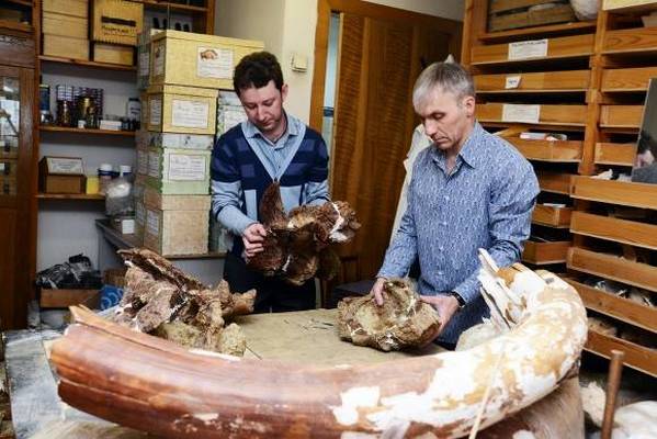 Ученые нашли метеорит, который убил динозавров