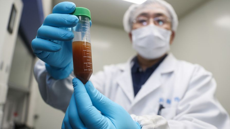 Шанхайская мРНК вакцина вступила в фазу 1 клинических испытаний