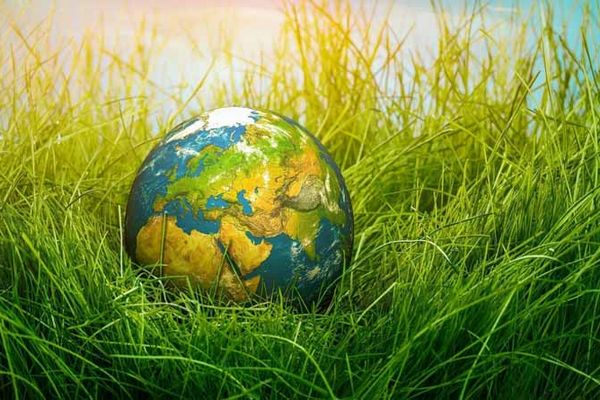 День Земли 2021: традиции главного экологического праздника