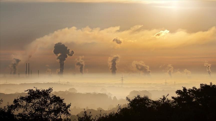 Пять азиатских стран планируют 80% новых угольных плантаций, угрожающих климату