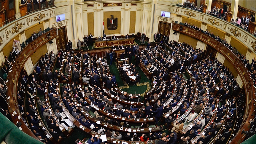 Египет принял закон об увольнении государственных служащих, связанных с 