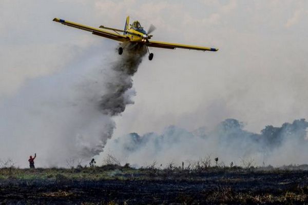 В Бразилии разбился легкомоторный самолет. Все находившиеся на борту погибли