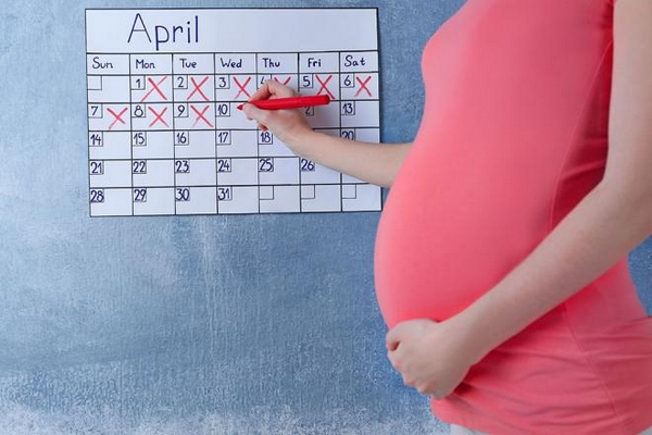 Срок беременности: правила расчета