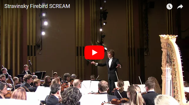 В США на концерте симфонического оркестра раздался крик