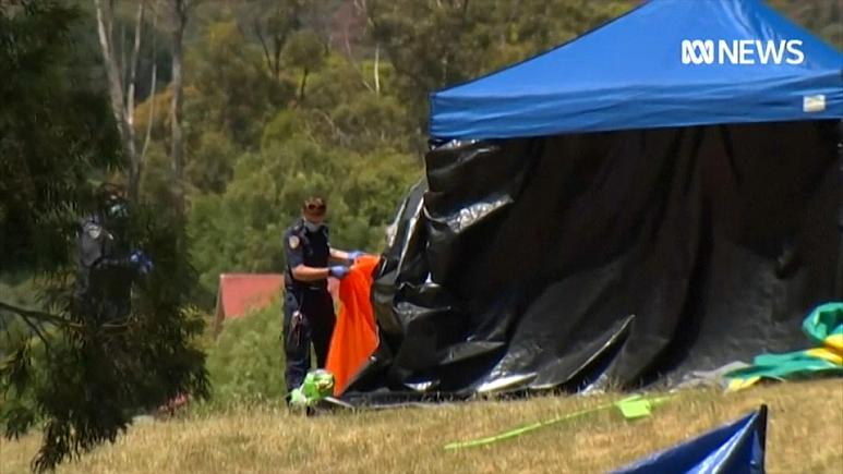 Пять детей погибли в результате несчастного случая с надувным замком в Австралии