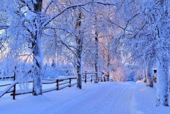 Прогноз погоды на выходные: украинцев ждет снег и морозы