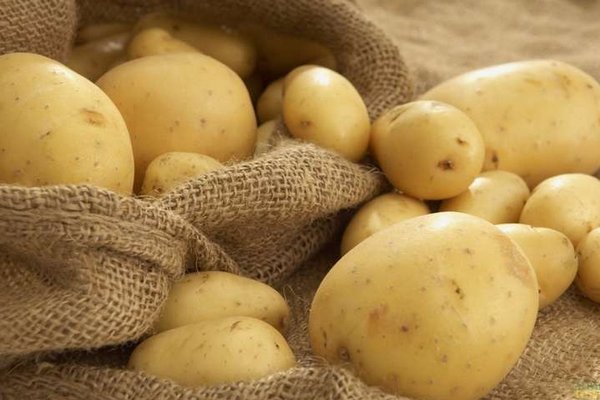 Украина договаривается об экспорте картофеля в ЕС