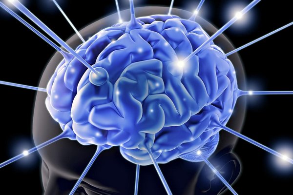 Ученые обнаружили еще один мозг в теле человека