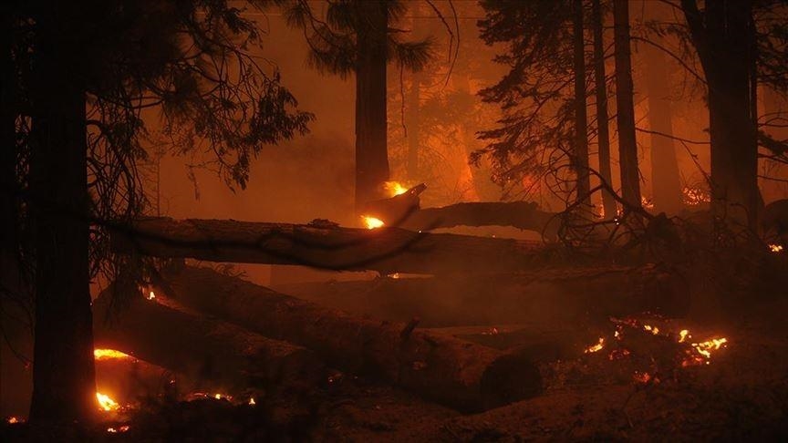Лесной пожар в Колорадо причинил ущерб на сумму более $513 млн.