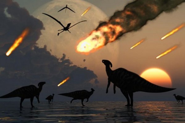 Появилась еще одна теория вымирания видов на Земле
