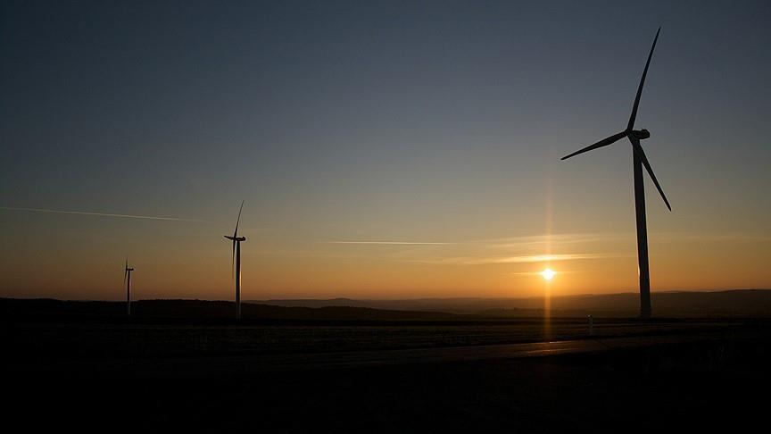 Ирландия установила новый рекорд по выработке ветровой энергии