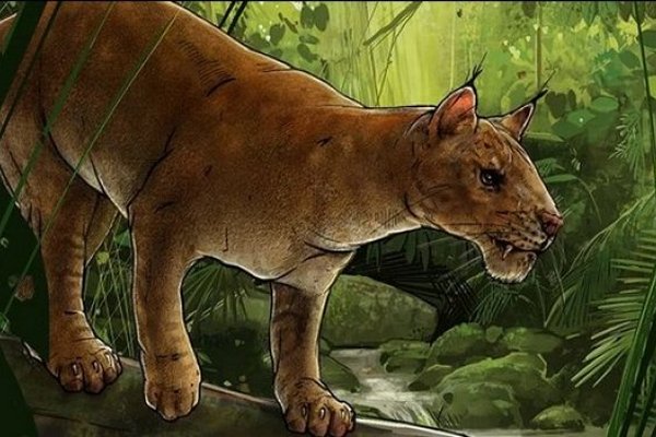 Ученые выяснили, кто был одним из первых настоящих хищников на Земле