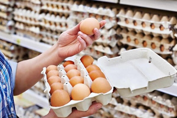 В Украине резко изменились цены на яйца