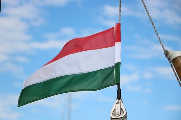 В Венгрии впервые прошел многолюдный митинг за Украину