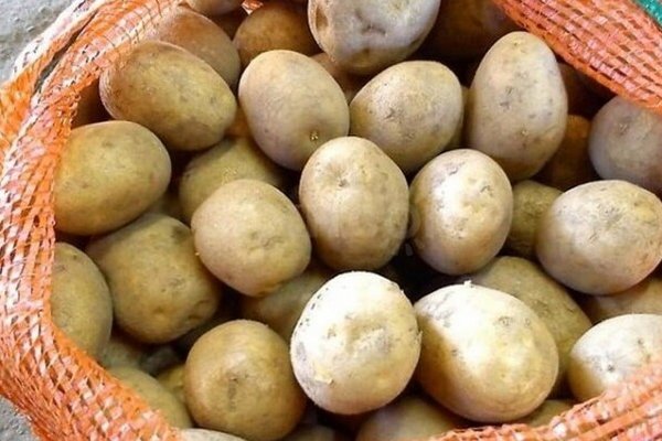 ФАО раздает украинским семьям семенной картофель