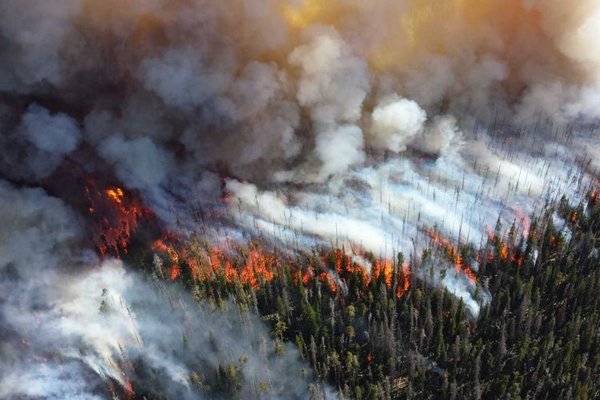 В России стремительно растет площадь лесных пожаров