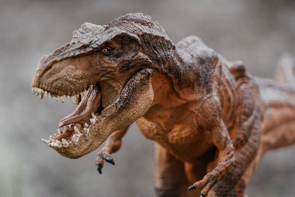 Ученые поняли, почему у крупных динозавров были маленькие «руки»