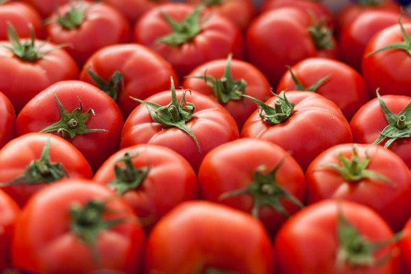 Ученые выяснили, что помидоры могут снизить риск инсульта