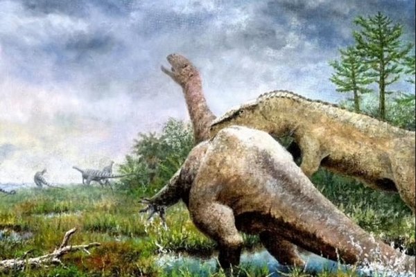 Ученые открыли новый вид динозавров