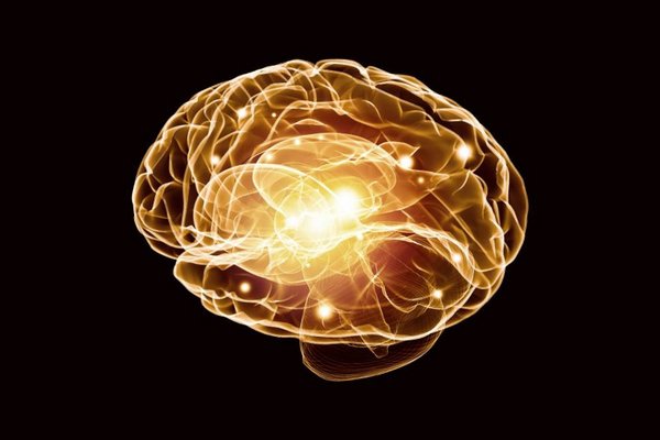 Ученые выяснили, как мозг хранит воспоминания