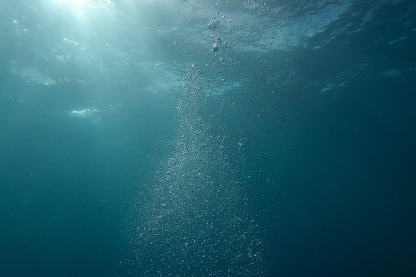 Ученые требуют признать океан живым существом
