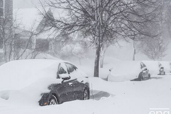 В США количество погибших из-за зимнего шторма возросло до 65