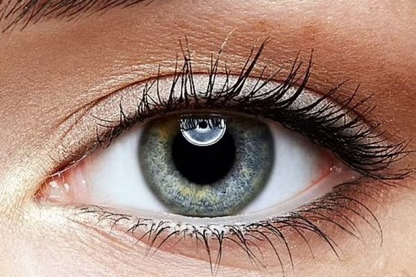 Ученые научились печатать ткани глаза человека, чтобы изучать болезни