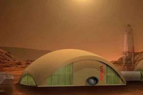 Грибы прочнее бетона и радиоустойчивые: ученые придумали, из чего строить дома на Марсе