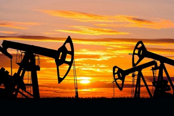 Пакистан закупил первую партию российской нефти со скидкой