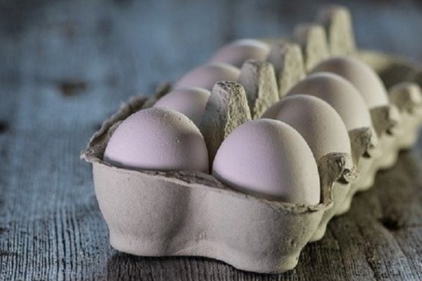 Эксперт по питанию объяснил, как изменится состояние организма при ежедневном употреблении яиц