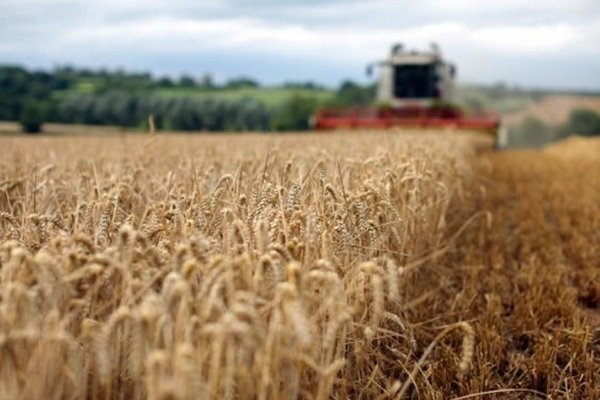 ЕК запретила импорт отдельных агротоваров из Украины