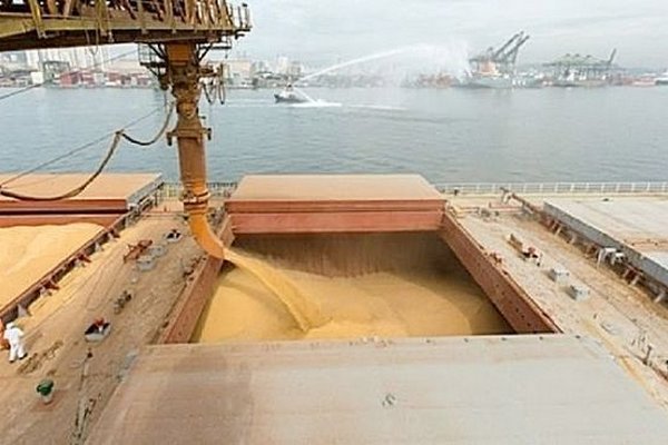 Разблокирование портов Николаева увеличит экспорт зерна вдвое - Министр агрополитики