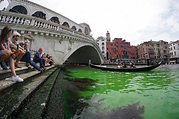 В Венеции выяснили, почему позеленела вода в Гранд-канале