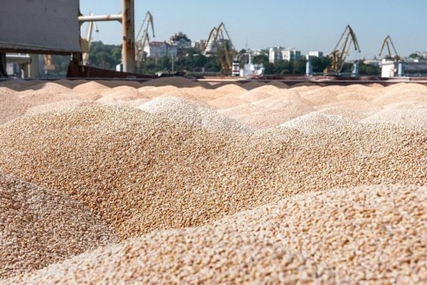Экспорт зерновым коридором вырос на 65%