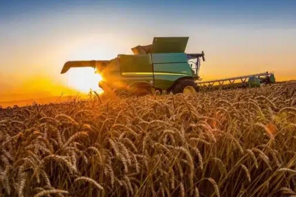 В Украине аграриям могут упростить ведение бизнеса